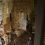 IMG-20261001-WA0018